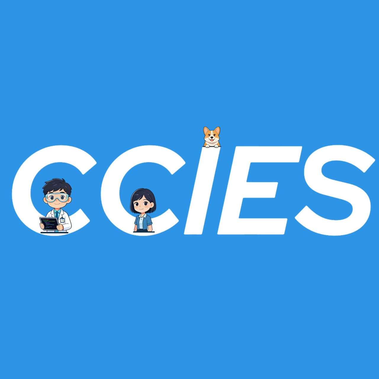 CCIES软件
